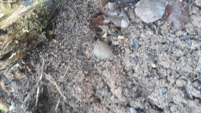 20191117_132426.jpg