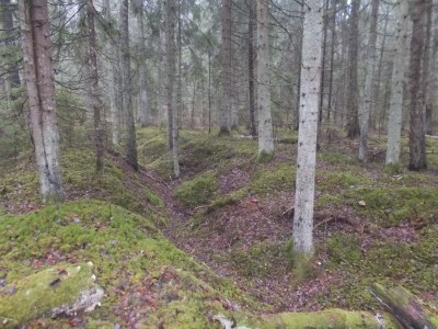 DSCN1132.JPG