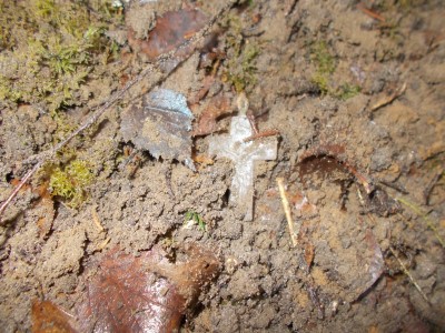 DSCN1133.JPG
