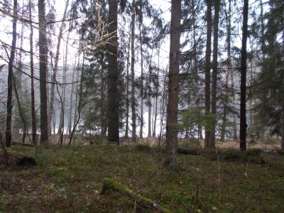 DSCN1135.JPG