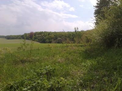050520113476.jpg