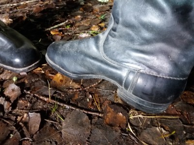 20191127_200241.jpg