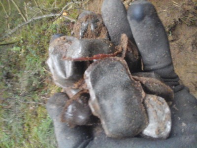 Fotoattēls0036.jpg