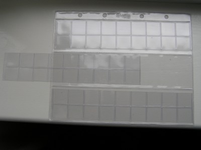 P1010031.JPG