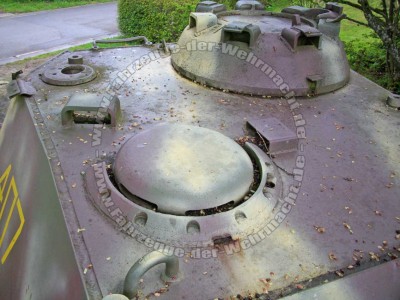 pantera 1.jpg