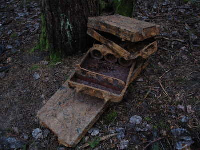 DSC00212.JPG
