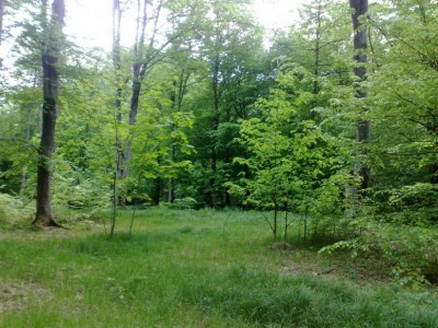 150520113613.jpg