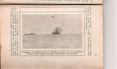 bild1.jpg