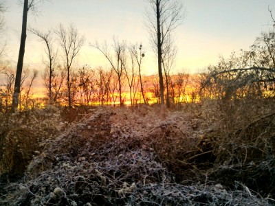P_20191229_080840_HDR.jpg