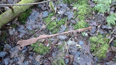 IMG_20200111_145823.jpg