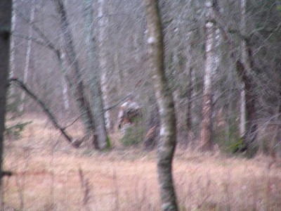 IMG_6515.JPG
