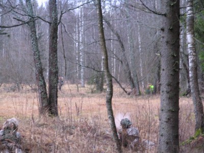 IMG_6519.JPG