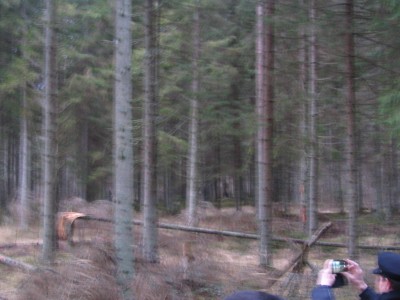 IMG_6527.JPG