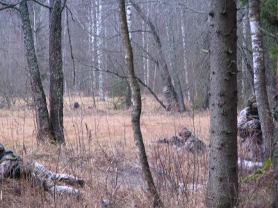 IMG_6547.JPG