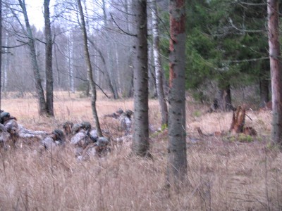 IMG_6574.JPG
