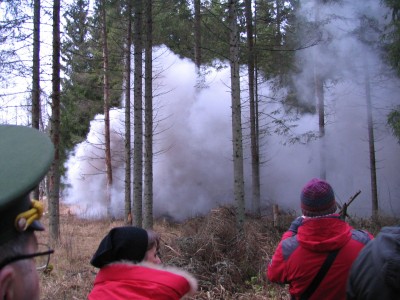IMG_6593.JPG