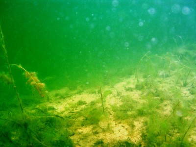 P2240003.JPG