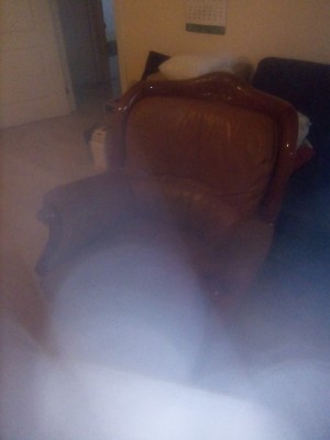IMG_20200129_111711.jpg