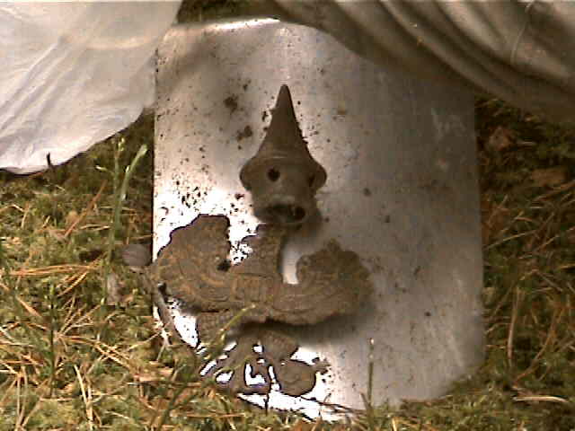 Dcam0654.jpg