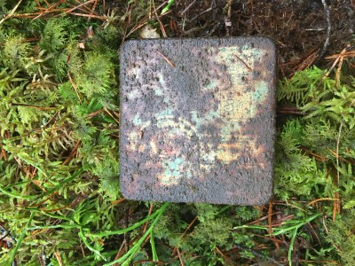 IMG_7192.jpeg