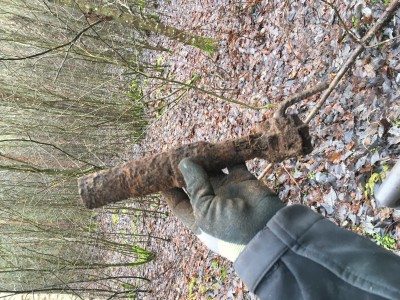 IMG_7201.jpeg