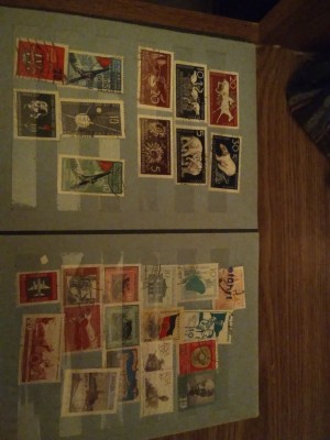 IMG_20200205_195057.jpg