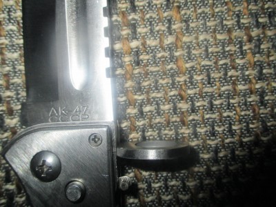 file4 (2).jpg