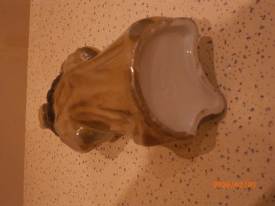 P2090003 (2).JPG