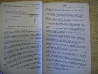 CIMG2025.JPG