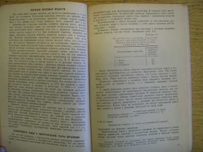 CIMG2029.JPG