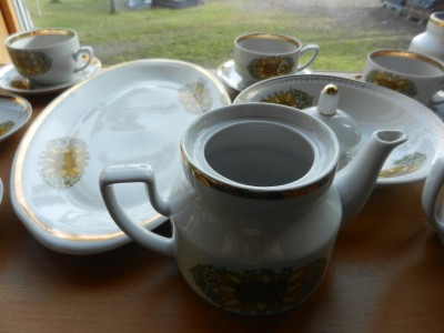 DSCN8563.JPG