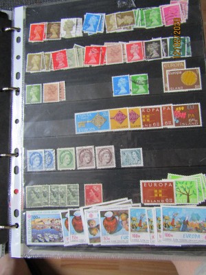 IMG_1262.JPG