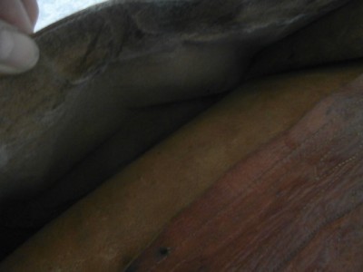 P1010279.JPG