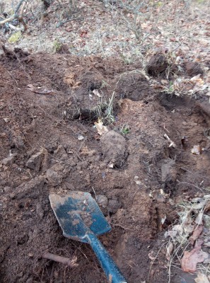 IMG_20200219_113042_2[1].jpg