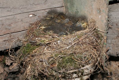IMG_8720.jpg