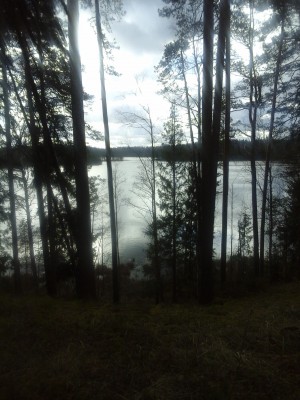 Fotoattēls0105.jpg
