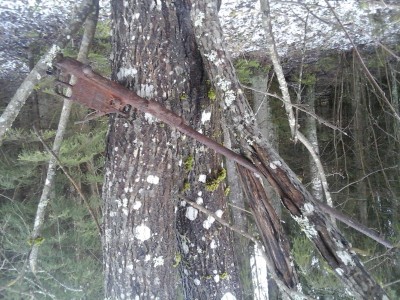 Fotoattēls0089.jpg
