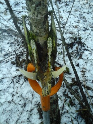 Fotoattēls0090.jpg