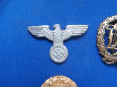 P1010266.JPG