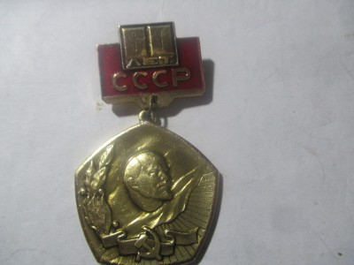 file8.jpg