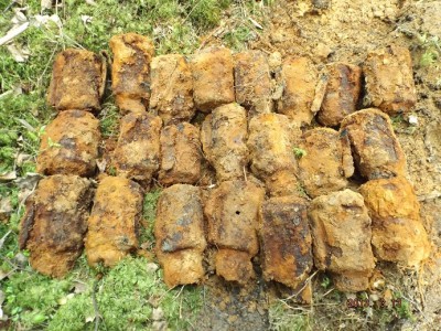 DSCF6728.jpg