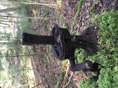 IMG_7433.jpeg