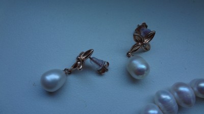 DSC05201.JPG
