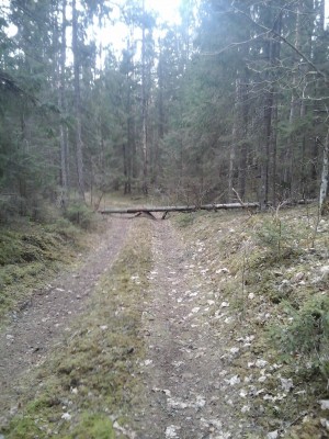 Fotoattēls0023.jpg