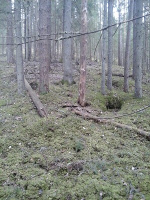 Fotoattēls0020.jpg