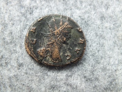 DSCF9649.JPG