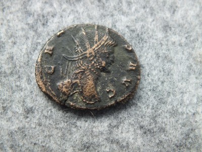 DSCF9650.JPG
