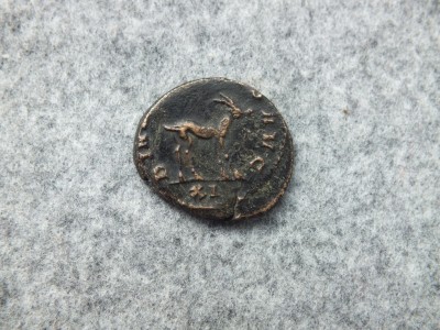 DSCF9652.JPG