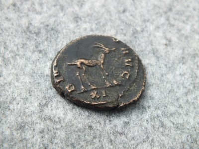 DSCF9655.JPG