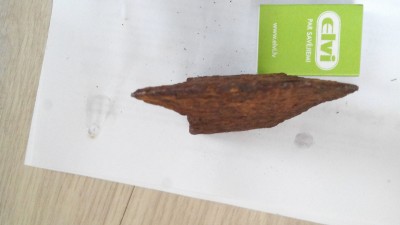 IMG_20200316_110854.jpg